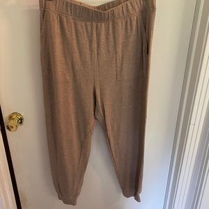 Aerie Joggers